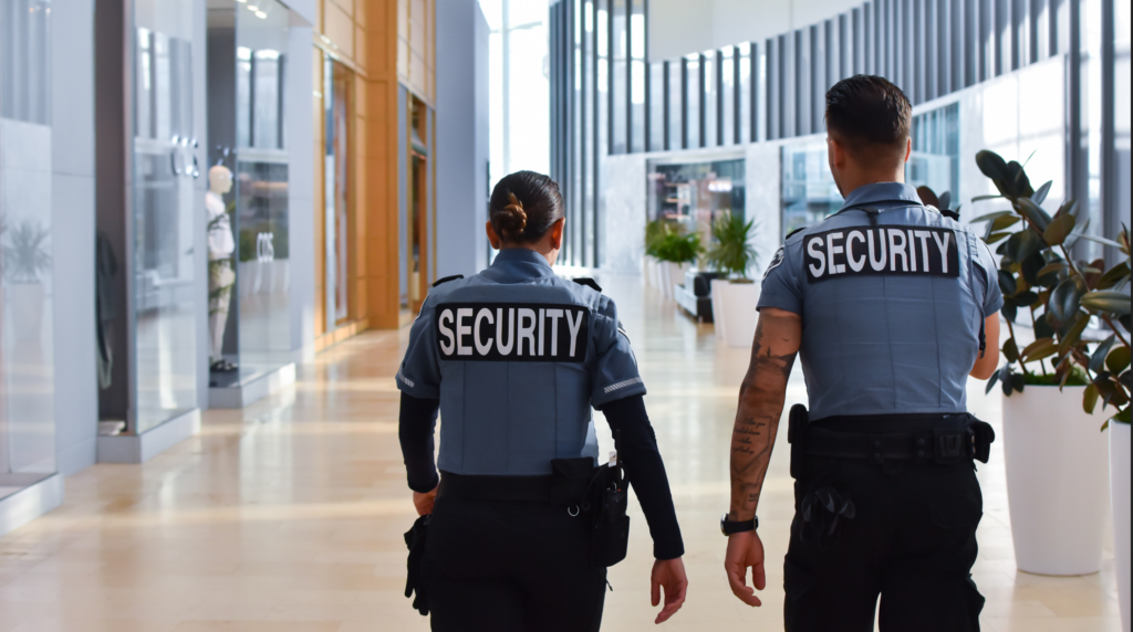 How to Choose the Best Security Service Provider in Bangalore